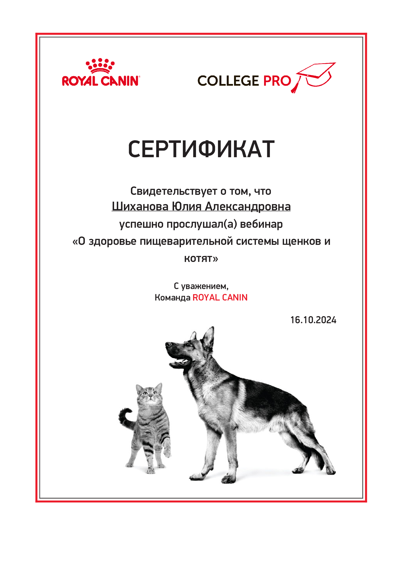 друг кошки, кошки инфо, арсениум, сибирский кот, домашний кот, домус, тюмень, кот, арсениум, сибиряки, котики, шиханова, макосова, котята, royal canin