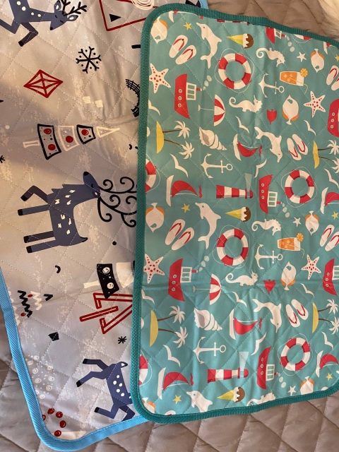 котята, сибирские котята, арсениум, зоогалактика